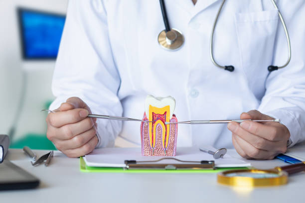 Best After-Hours Emergency Dentist in Lathrop, MO